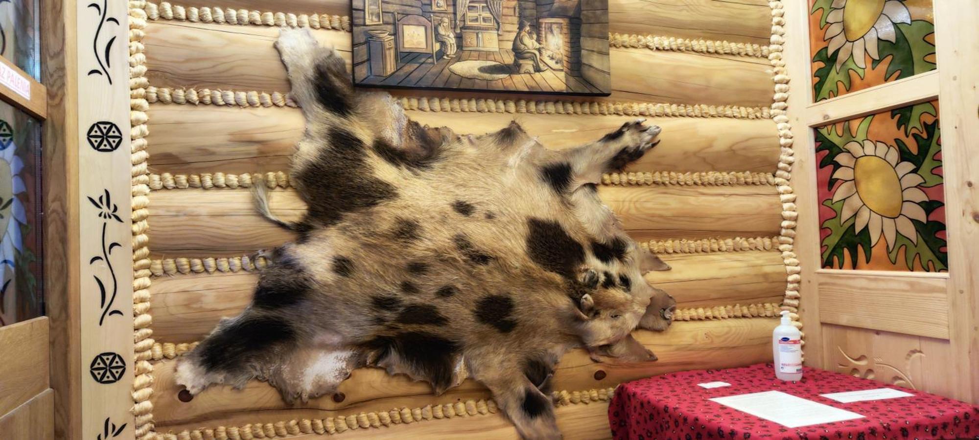 Chata Goralska I Pokoje Goscinne Ciechocinek Extérieur photo